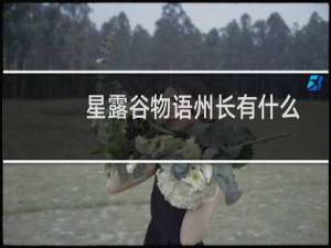 星露谷物语州长有什么