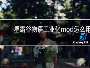 星露谷物语工业化mod怎么用