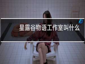 星露谷物语工作室叫什么