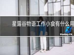 星露谷物语工作小食有什么用