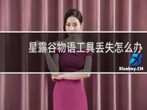 星露谷物语工具丢失怎么办