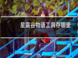 星露谷物语工具存哪里