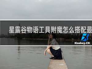 星露谷物语工具附魔怎么搭配最好