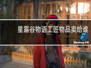 星露谷物语工匠物品卖给谁