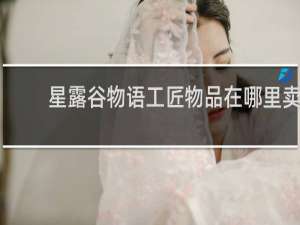 星露谷物语工匠物品在哪里卖