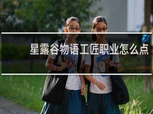 星露谷物语工匠职业怎么点