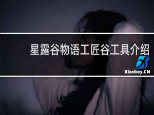 星露谷物语工匠谷工具介绍
