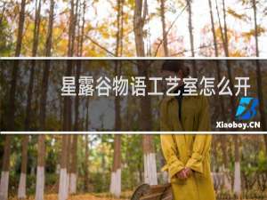星露谷物语工艺室怎么开