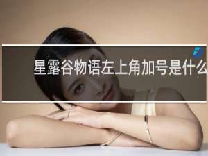 星露谷物语左上角加号是什么