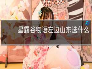 星露谷物语左边山东选什么