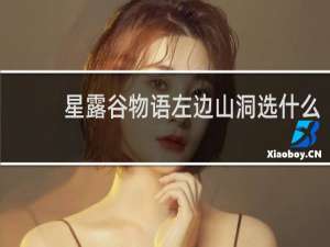 星露谷物语左边山洞选什么