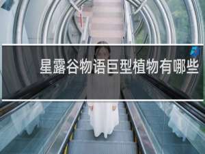 星露谷物语巨型植物有哪些