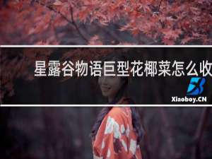 星露谷物语巨型花椰菜怎么收
