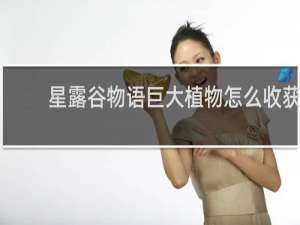 星露谷物语巨大植物怎么收获