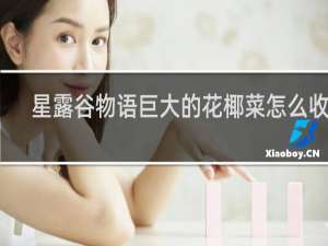 星露谷物语巨大的花椰菜怎么收获