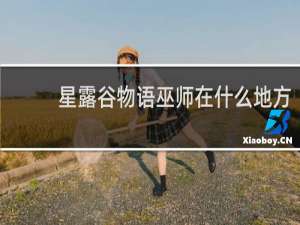 星露谷物语巫师在什么地方