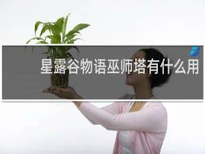 星露谷物语巫师塔有什么用