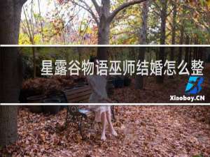 星露谷物语巫师结婚怎么整