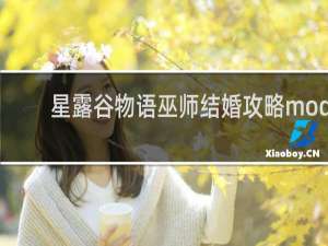 星露谷物语巫师结婚攻略mod