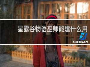 星露谷物语巫师能建什么用