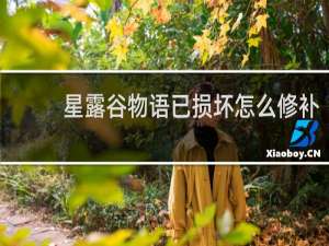 星露谷物语已损坏怎么修补