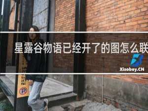 星露谷物语已经开了的图怎么联机