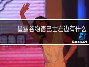 星露谷物语巴士左边有什么