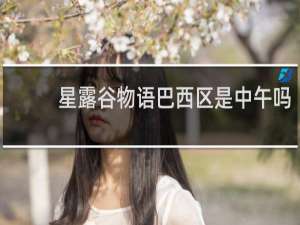 星露谷物语巴西区是中午吗