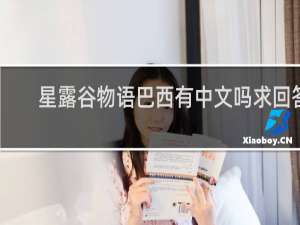 星露谷物语巴西有中文吗求回答