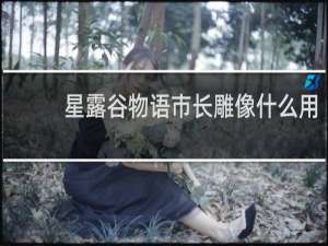 星露谷物语市长雕像什么用