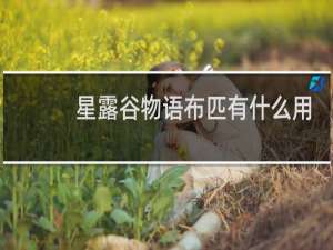 星露谷物语布匹有什么用