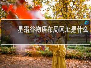 星露谷物语布局网址是什么