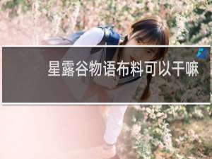 星露谷物语布料可以干嘛