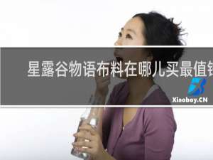 星露谷物语布料在哪儿买最值钱