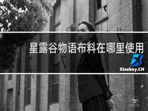 星露谷物语布料在哪里使用