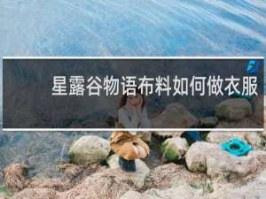 星露谷物语布料如何做衣服