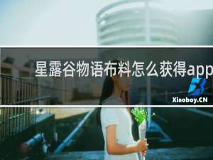 星露谷物语布料怎么获得app