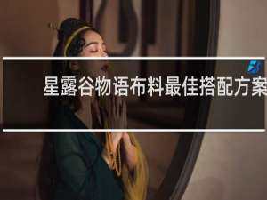 星露谷物语布料最佳搭配方案