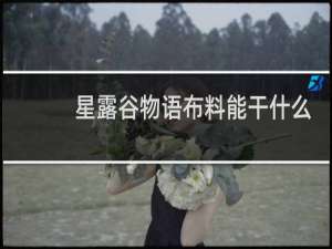 星露谷物语布料能干什么