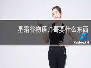 星露谷物语帅哥要什么东西