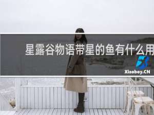 星露谷物语带星的鱼有什么用