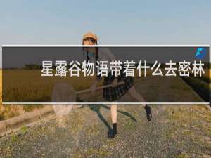 星露谷物语带着什么去密林
