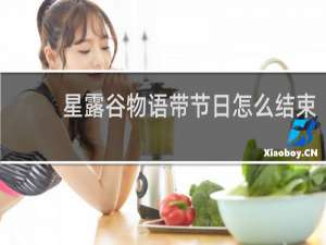 星露谷物语带节日怎么结束