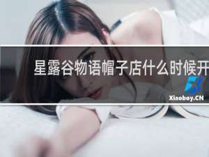 星露谷物语帽子店什么时候开