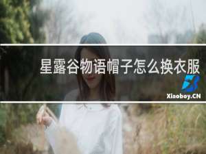 星露谷物语帽子怎么换衣服