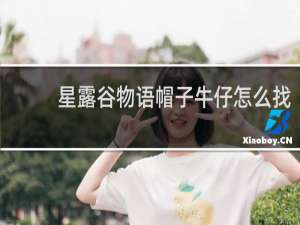 星露谷物语帽子牛仔怎么找