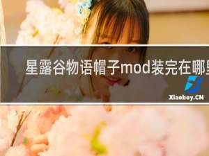 星露谷物语帽子mod装完在哪里