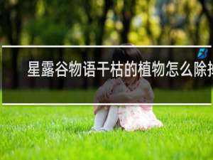 星露谷物语干枯的植物怎么除掉