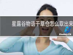 星露谷物语干草仓怎么取出来