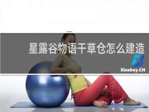 星露谷物语干草仓怎么建造